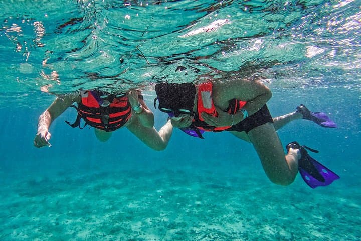 Snorkel the Tulum Reef: 1.5-Hour Boat Trip to Ruins and Turtles photo 2