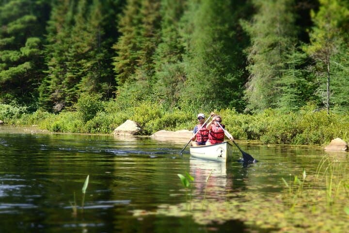 Moose On The Loose: 4-Day Camping Road Trip Through Algonquin, Killbear & Killarney photo 4