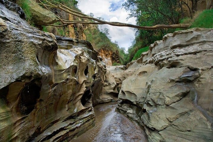 Biking Hell's Gate & Boat Ride on Lake Naivasha — Day Trip from Nairobi photo 3