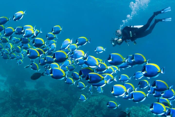Hurghada Private Full-Day Snorkeling & Giftun Islands Boat Tour photo 5