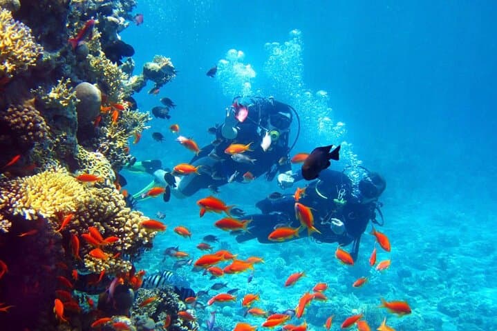 Hurghada Private Full-Day Snorkeling & Giftun Islands Boat Tour photo 6