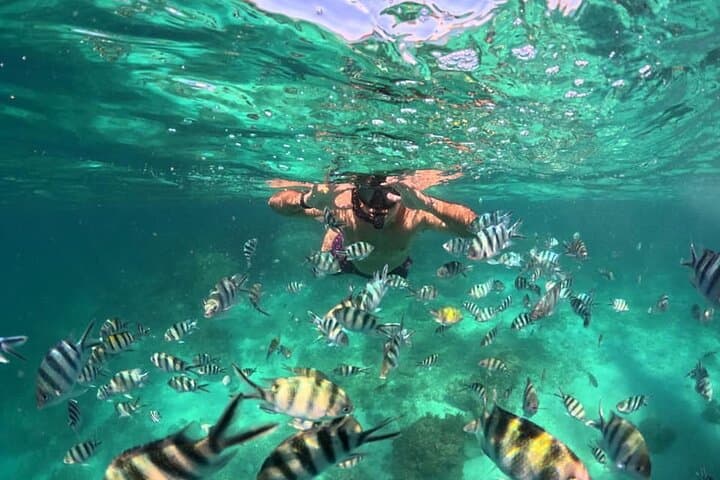 Private Port Barton Island Hopping & Turtle Watching with Lunch photo 2