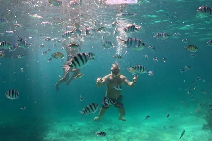 Private Port Barton Island Hopping & Turtle Watching with Lunch photo 4