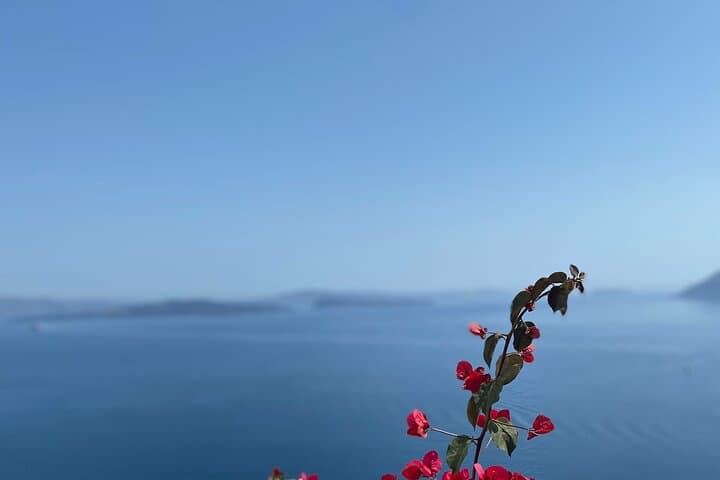 Santorini Private Highlights Tour: Caldera Views, Akrotiri Ruins & Wine Tasting photo 6