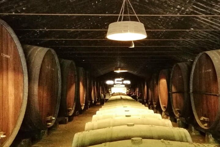 Lisbon to Arrábida, Palmela Castle, Tiles & Wine: Private Day Trip photo 5
