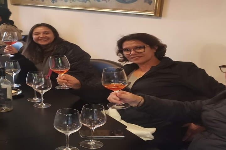 Lisbon to Arrábida, Palmela Castle, Tiles & Wine: Private Day Trip