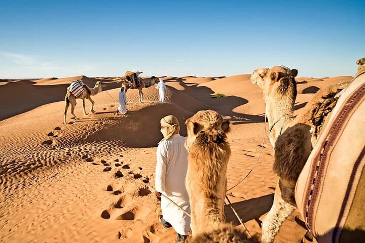 Dubai Evening Desert Safari: Dune Bashing, BBQ Dinner & Live Shows photo 4