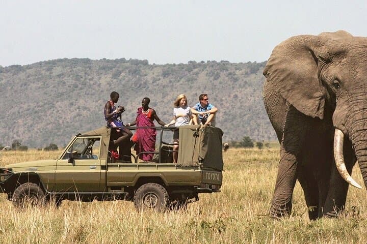 7-Day Kenya Safari: Masai Mara, Nakuru, Naivasha & Amboseli Private Tour photo 5
