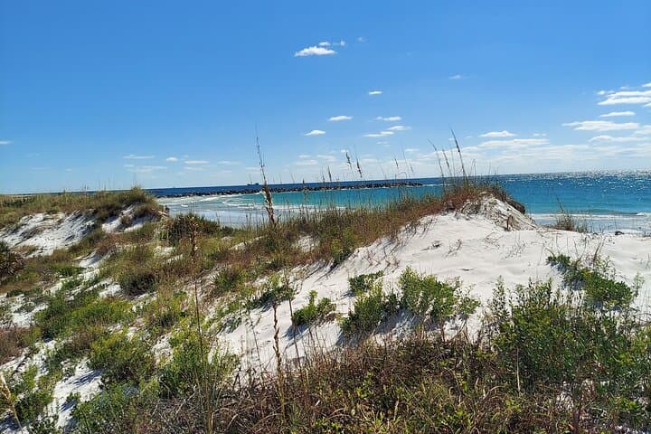 Shell Island Ferry from St. Andrews State Park — Day Trip to Panama City Beach's Wild Barrier Island photo 5