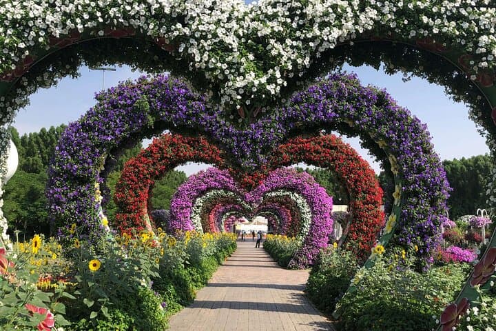 Skip-the-Line Guide to Dubai Miracle Garden: Floral Highlights & Visitor Tips photo 4