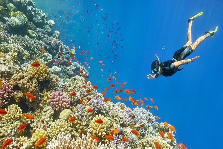 Six-Day Egypt Private Tour: Cairo Pyramids and Hurghada Red Sea Escape photo 3