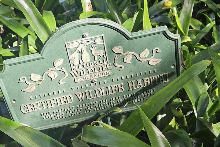Childrens Botanical Garden St. Thomas USVI — Family Phantasea Garden Walk photo 1