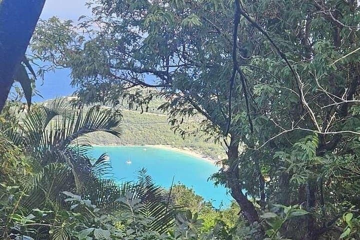 Childrens Botanical Garden St. Thomas USVI — Family Phantasea Garden Walk photo 3