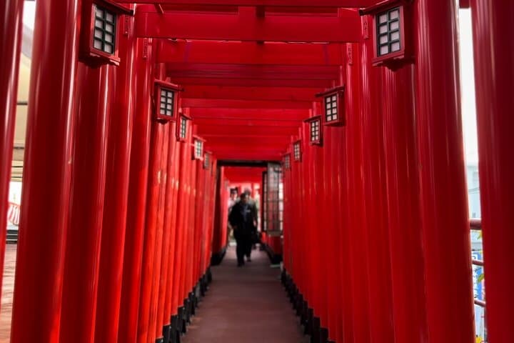 cycle-naha-zodiac-shrines-backstreets-ryukyu-pilgrimage