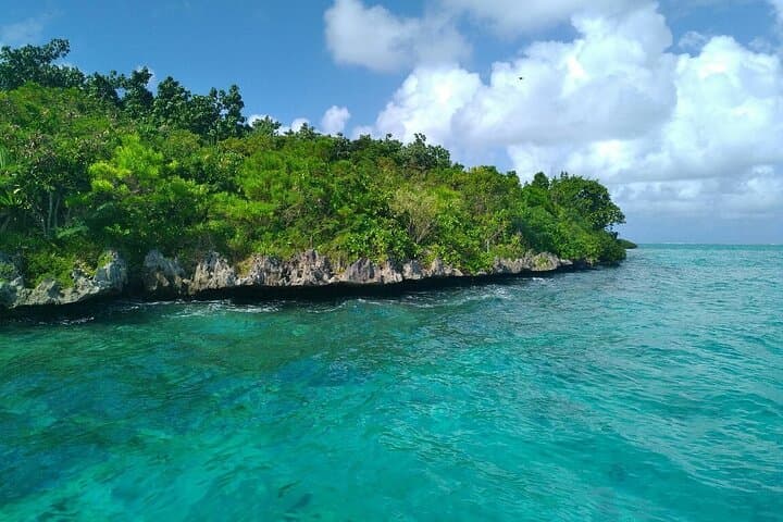 Mauritius Dolphin Swim and Whale-Watching Day Trip from West Coast photo 3