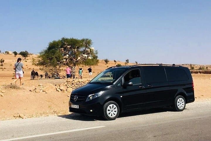 Essaouira Argan Forest & Sidi Kaouki Private Drive — Goats in the Trees and Cooperative Visits