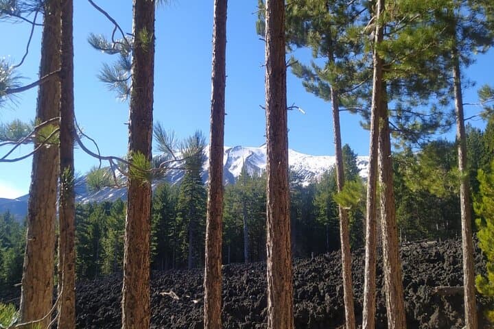 Etna Hiking and Wine Tasting: Lava Walk, Cave Visit & Winery Experience photo 2