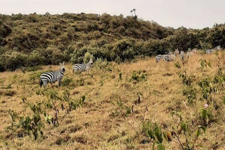 Guided Hiking at Mt Longonot + Lake Naivasha Boat Ride — Full-Day Rift Valley Adventure photo 2