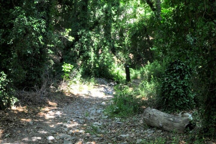 Richtis Waterfall to Voulisma Beach: Full-Day Crete Escape from Heraklion photo 3