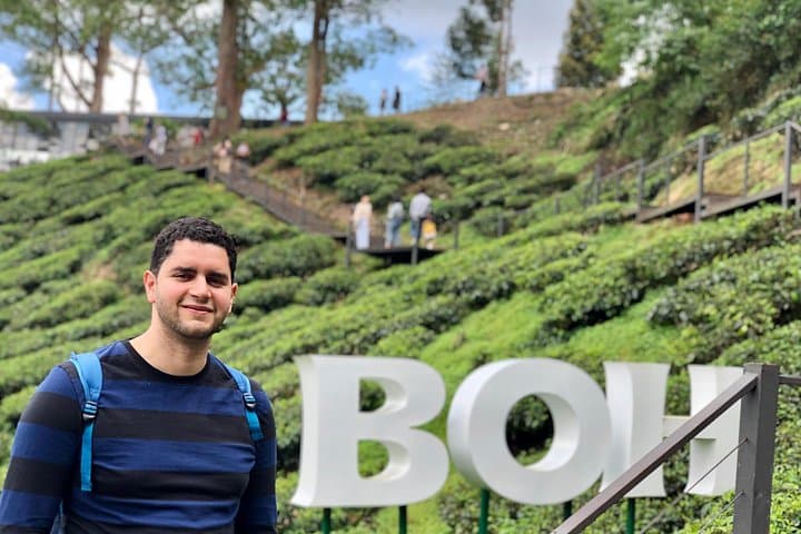 Cameron Highlands Day Trip from Kuala Lumpur — Tea Plantations, Waterfalls & Strawberry Farms photo 3