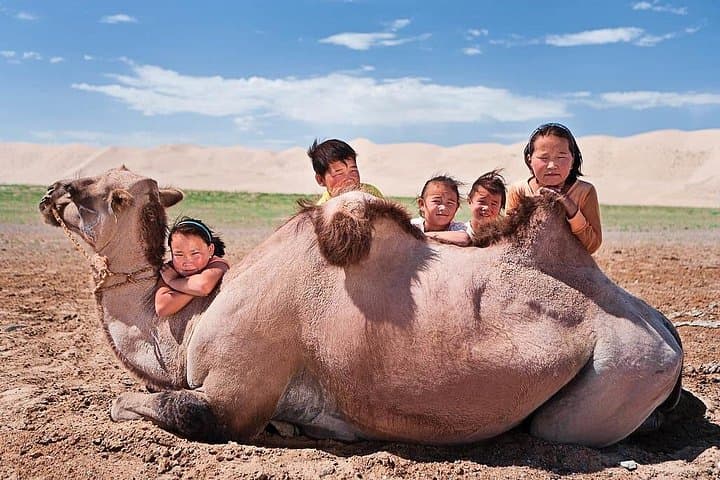 Gobi Desert 9-Day Expedition: Khongoryn Els, Flaming Cliffs & Orkhon Valley photo 4
