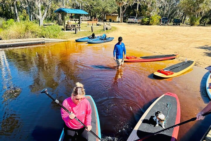 Ormond Beach Manatee & Tomoka River Kayak and Paddleboard Tour photo 2