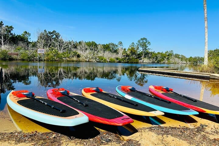 Ormond Beach Manatee & Tomoka River Kayak and Paddleboard Tour photo 5