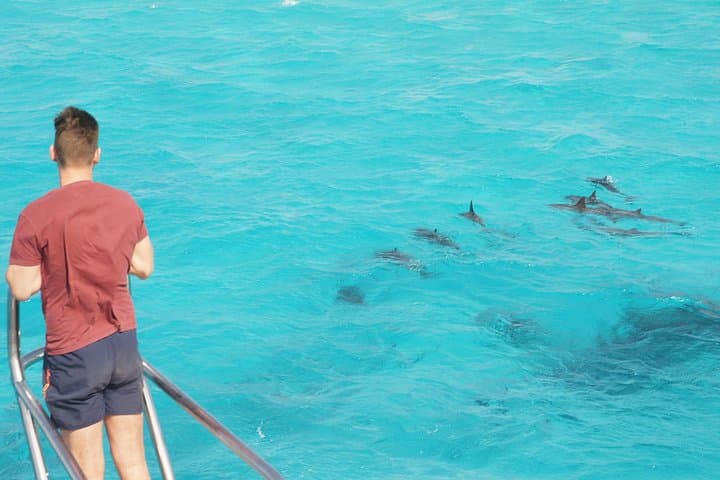 Samadai Dolphin House Snorkel Trip Marsa Alam — Swim with Resident Dolphins photo 3