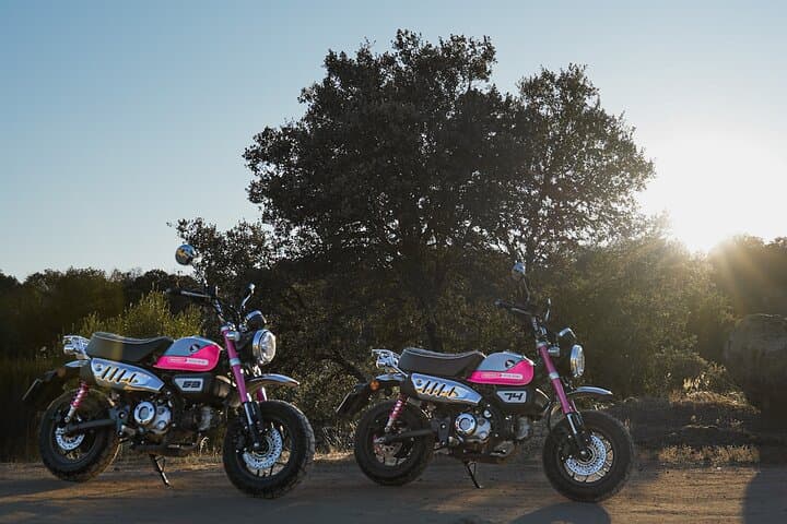 Ride the Pink Monkeys: 5-Day Motorcycle Tour Through Northern Portugal’s Douro and National Parks