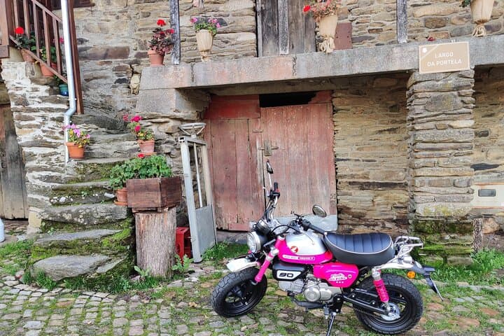 Ride the Pink Monkeys: 5-Day Motorcycle Tour Through Northern Portugal’s Douro and National Parks photo 3