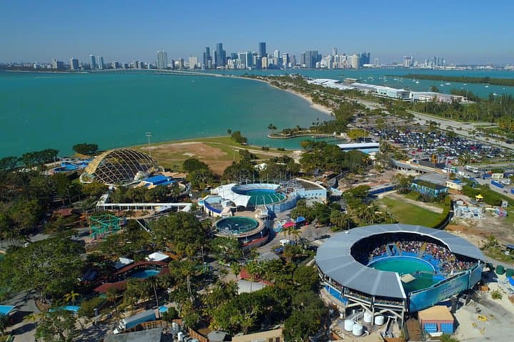 30-Minute Miami Downtown Airplane Tour — Coastal Flight & Free Drinks photo 6