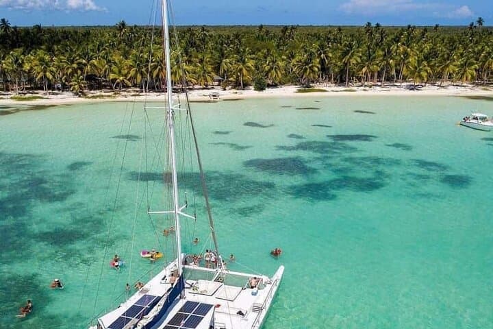 Saona Island Catamaran Day Trip — Natural Pool, Starfish & Beach Lunch photo 3