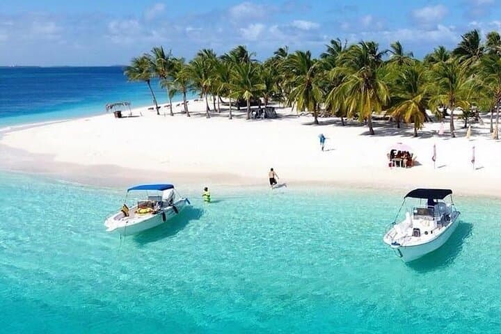 Saona Island Catamaran Day Trip — Natural Pool, Starfish & Beach Lunch photo 4