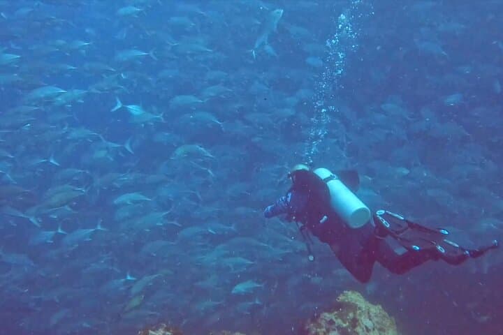 Sail Rock Day Dive From Koh Phangan: Two-Tank Adventure at the Gulf’s Pinnacle photo 5