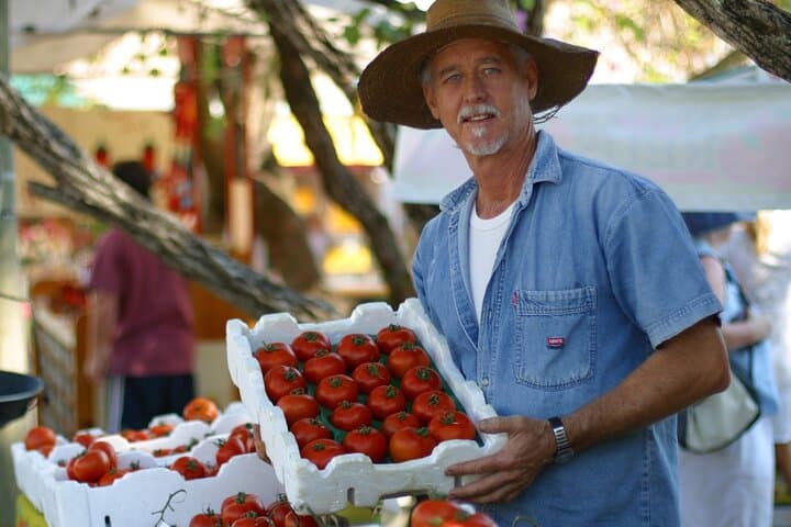 Noosa to Eumundi Markets Bus Transfer — Easy Access to Sunshine Coast's Artisan Hub photo 5