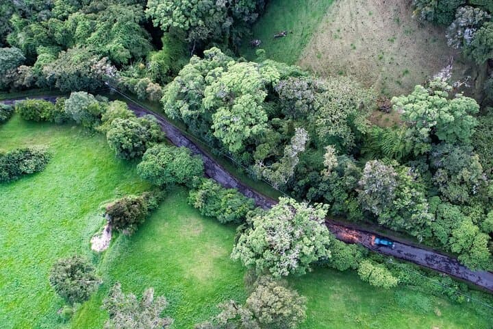 Hike Barva Volcano: Private Day Tour in Braulio Carrillo National Park photo 3