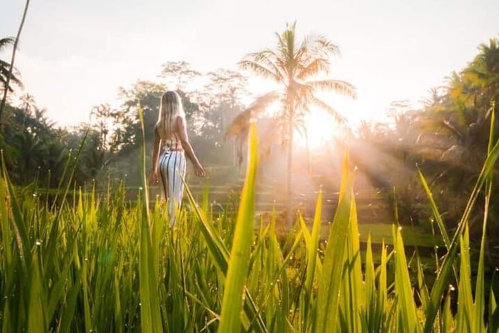 Ubud Waterfalls, Temple & Rice Terraces Private Day Tour — Monkey Forest to Kanto Lampo