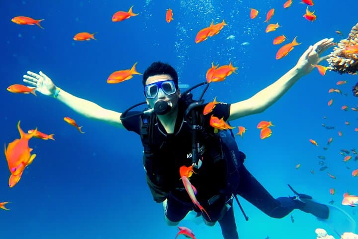 Shore Dives in Sharm El Sheikh Red Sea — Best Sites, Tips & What to Expect photo 2