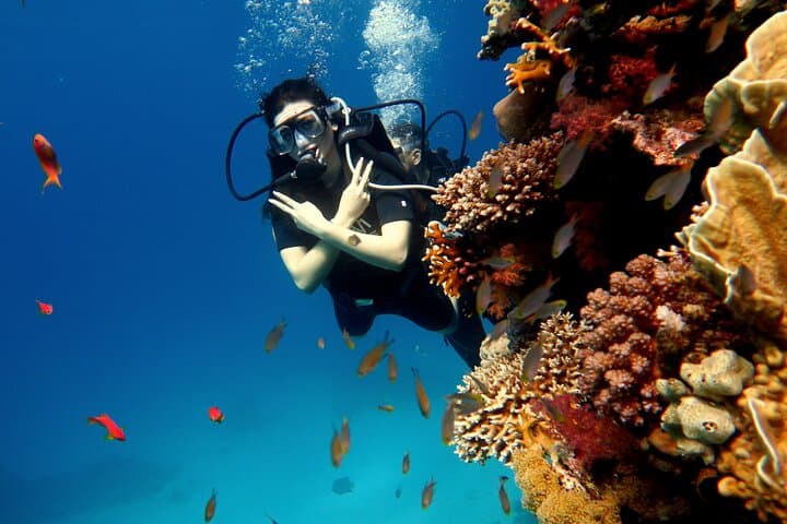 Shore Dives in Sharm El Sheikh Red Sea — Best Sites, Tips & What to Expect photo 3