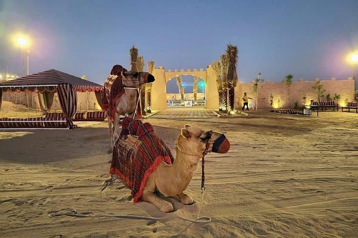 Platinum Desert Safari in Dubai: Evening Dune Bashing, Camel Rides & Bedouin Camp photo 1