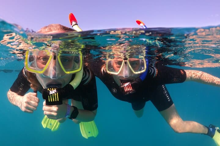 Small-Group Snorkeling in Abades Bay, Tenerife — Guided Coastal Reef Experience photo 2