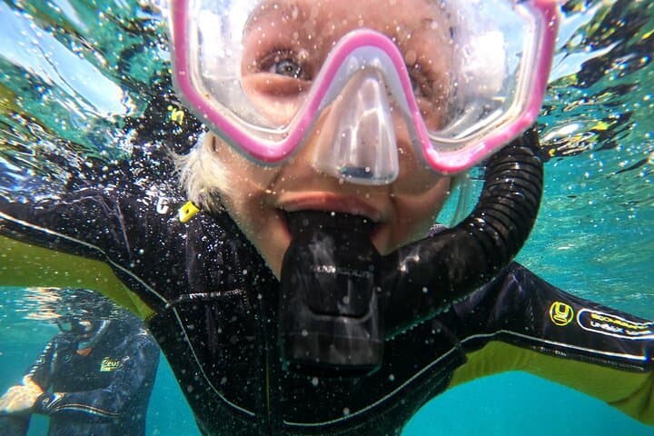 Small-Group Snorkeling in Abades Bay, Tenerife — Guided Coastal Reef Experience photo 5