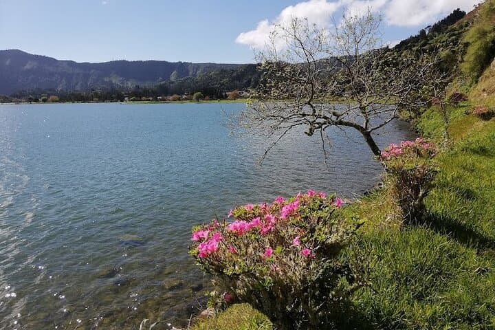 Sete Cidades Guided Volcano Tour — São Miguel's Iconic Crater Lagoons photo 3