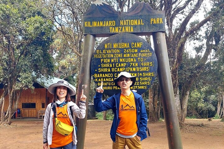 Kilimanjaro Lemosho Route: 8-Day Guided Hike to Uhuru Peak photo 4