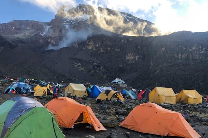 Kilimanjaro Lemosho Route: 8-Day Guided Hike to Uhuru Peak photo 6