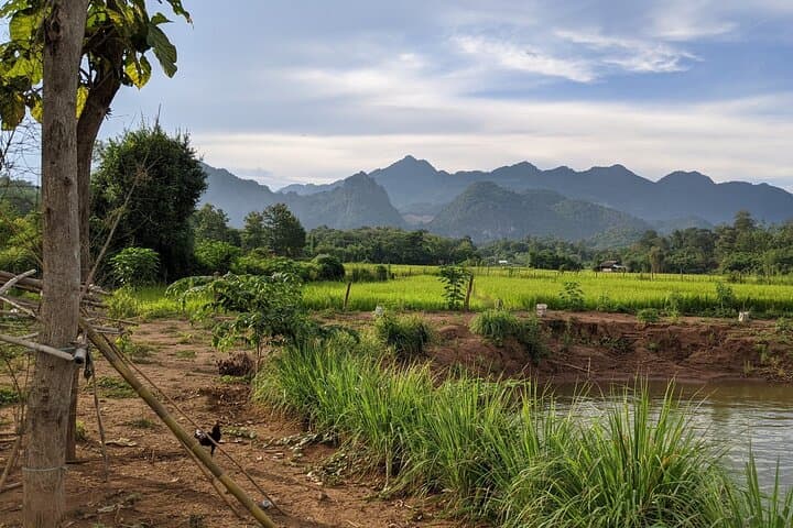 Ride the Rivers: Luang Prabang Mountain Bike Tour to Pak Ou photo 2