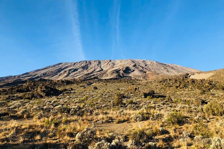 Kilimanjaro Lemosho Route — 8-Day Summit Itinerary, Tips & Gear photo 6
