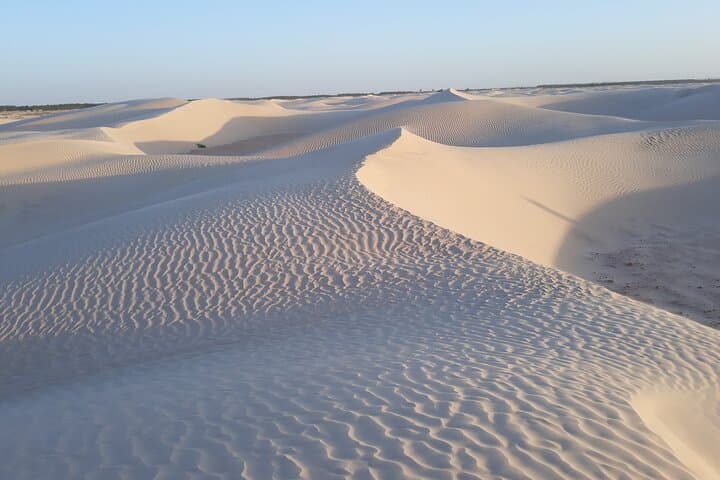 7-Day Cultural and Desert Adventure Across Tunisia photo 6