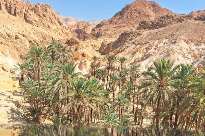 7-Day Cultural and Desert Adventure Across Tunisia photo 3