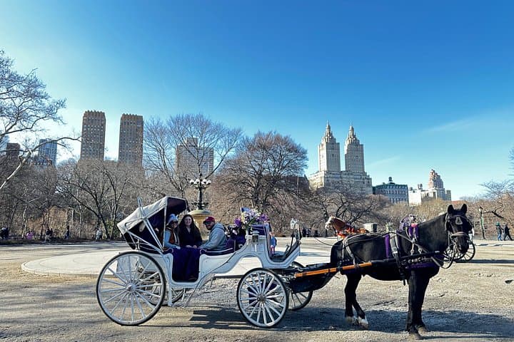 Central Park Horse and Carriage Tour — Private 40–45 Minute Guided Ride